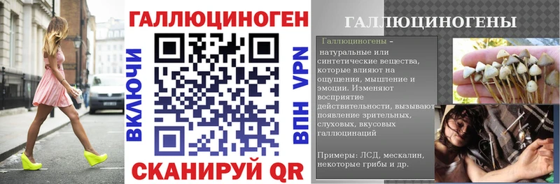 где купить наркоту  Свирск  Псилоцибиновые грибы Cubensis 